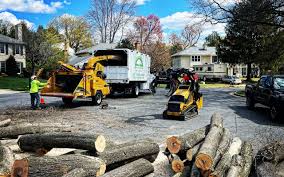 Best Arborist Consultation Services  in Arvin, CA